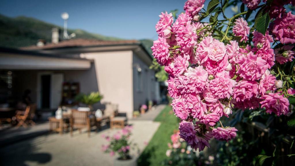 Casa Vittoria Villa กาไมโยเร ภายนอก รูปภาพ